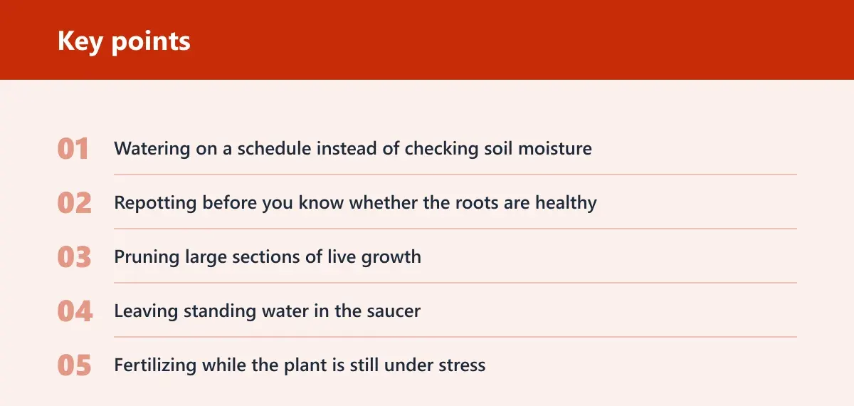 Key points: Common mistakes